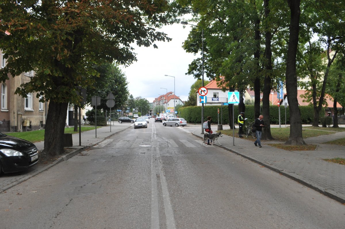 Na zdjęciu widać przejście dla pieszych, po którym przechodzi kobieta z psem, za przejściem dla pieszych widać samochody. Na chodniki stoi policjant a przy nim rower