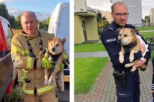 Po lewej strażak trzymający w rękach psa, a po prawej policjant trzymający w rękach psa