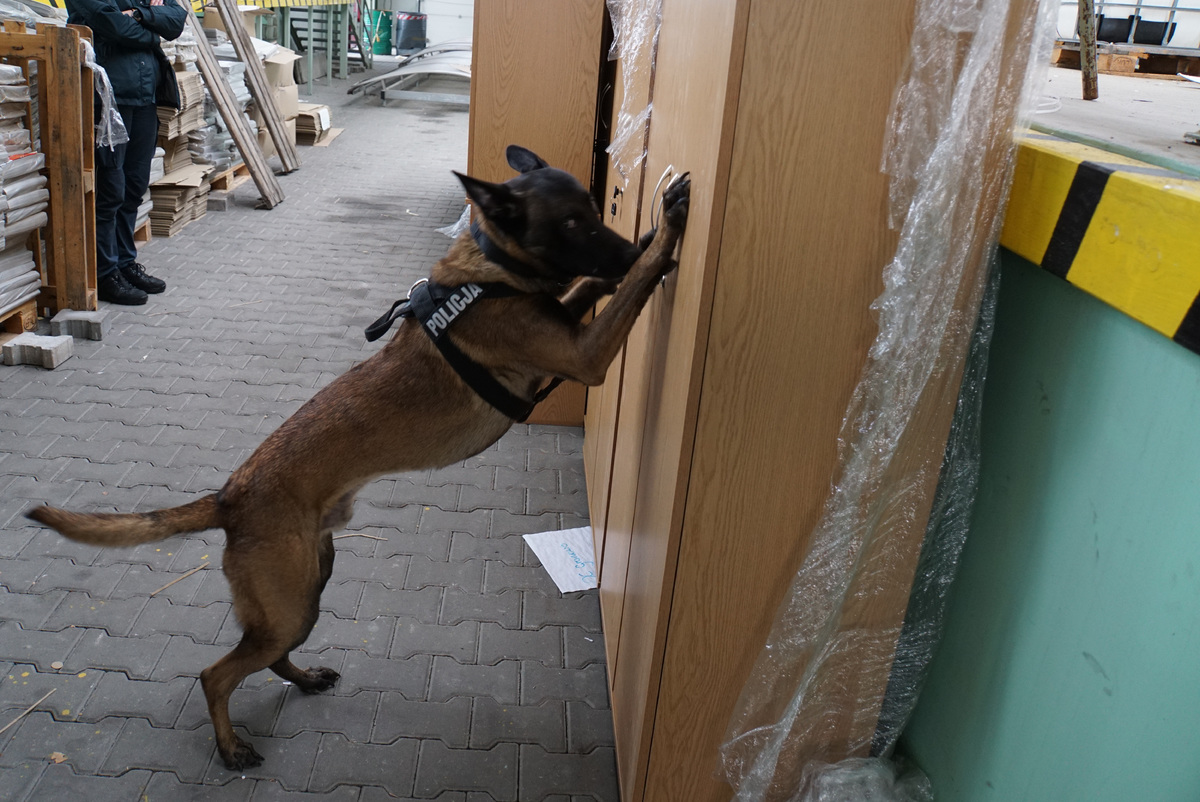 Szkolenie przewodników i psów służb mundurowych